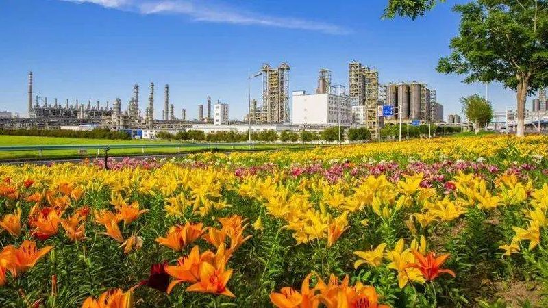 水性分散剂：揭秘其在涂料领域的优缺点