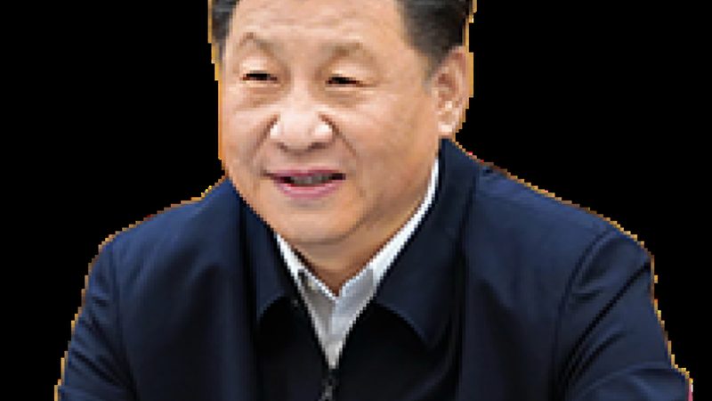 化肥消泡剂：揭秘其价格构成与选择要点